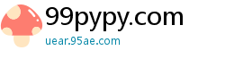 99pypy.com